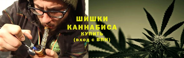 сатива Зеленодольск