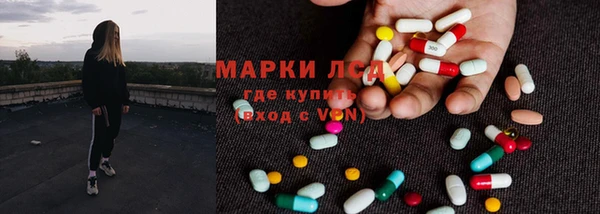 хмурый Зеленокумск